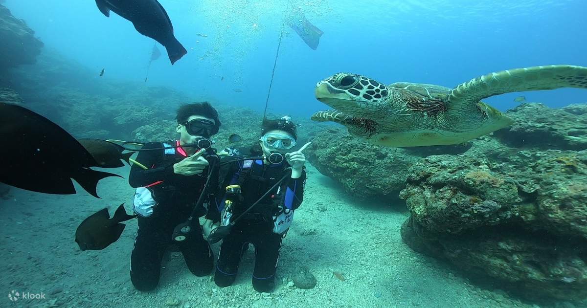 [Pagsisid sa Xiaoliuqiu] PADI Open Water Diver Course ng Pingtung Bear ...